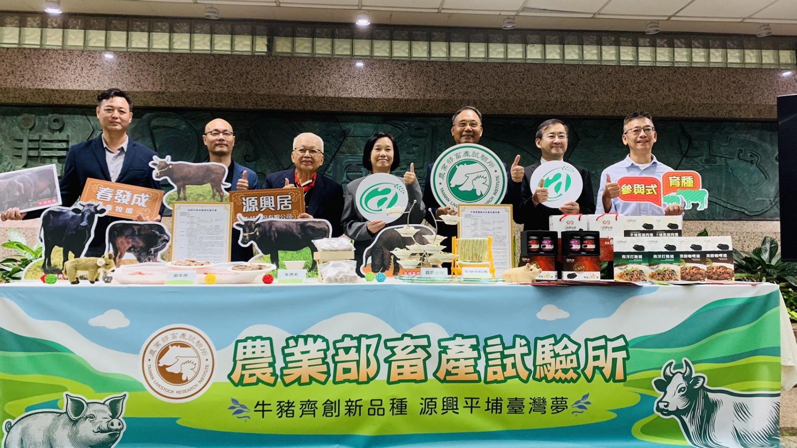畜試所發表新品種源興牛及平埔黑豬