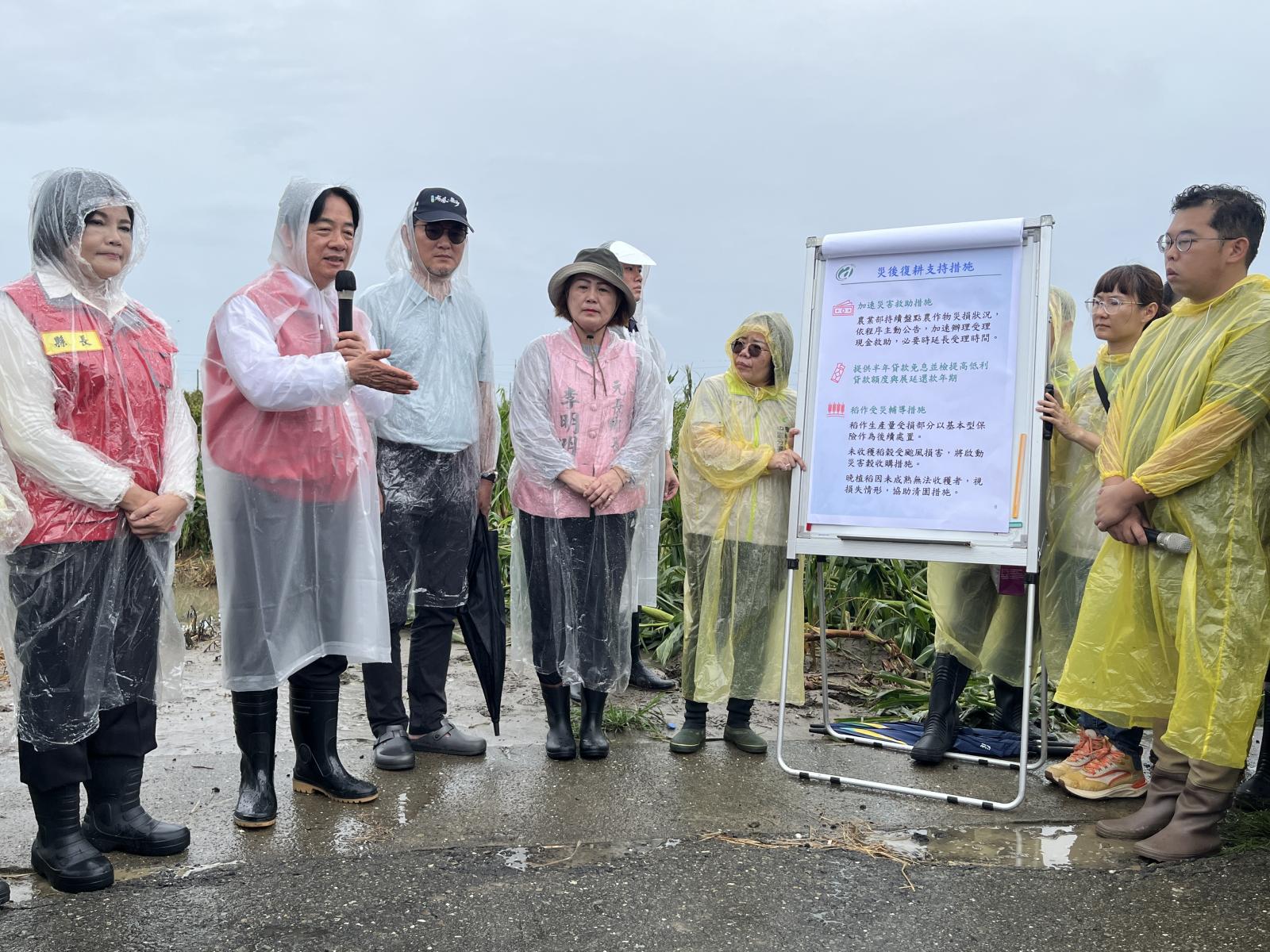 賴總統勘查雲林玉米災損