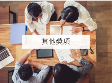 其他獎項